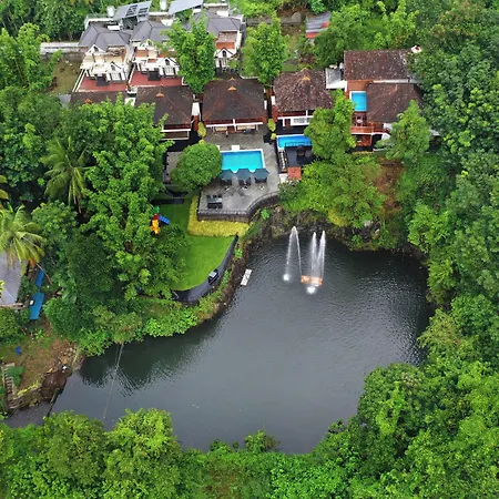 Athirapally Green Trees-2