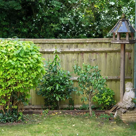Marlborough House - Guest House-2