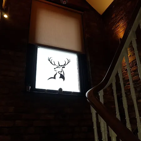The Glebe Hotel-3