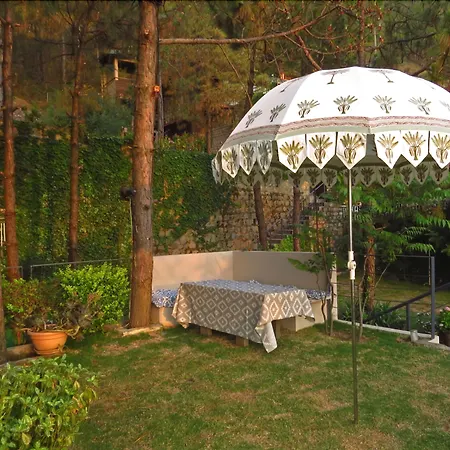 Seclude Kasauli, Himachal Pradesh-2