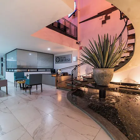 Hotel Circulo Condesa-2