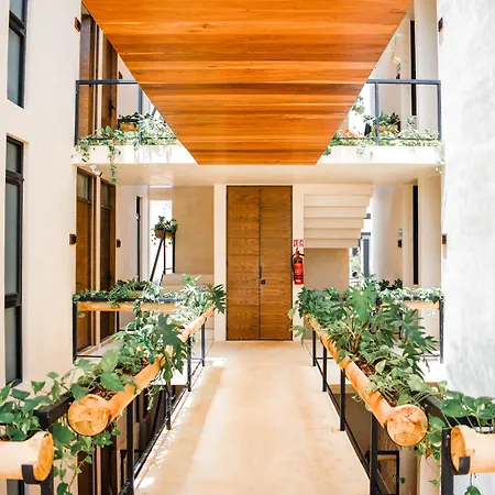 Eterna Tulum-2