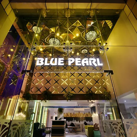 Hotel Blue Pearl Near Connaught Palace & New Delhi Railway Station-2