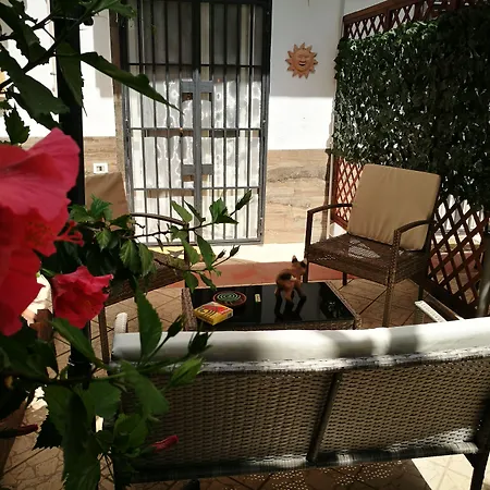 Bella Palermo-2