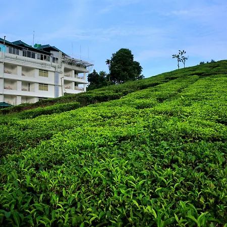 Monsoon Grande-3