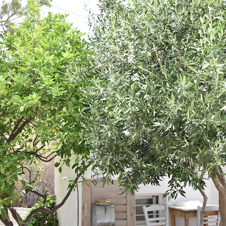 Andriani'S Guest House-3