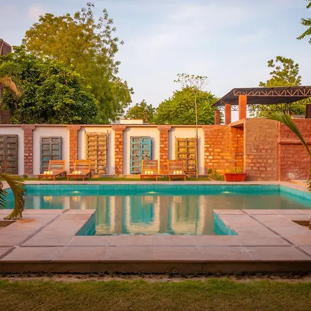 Tree Of Life Bhadrajun House, Jodhpur-3