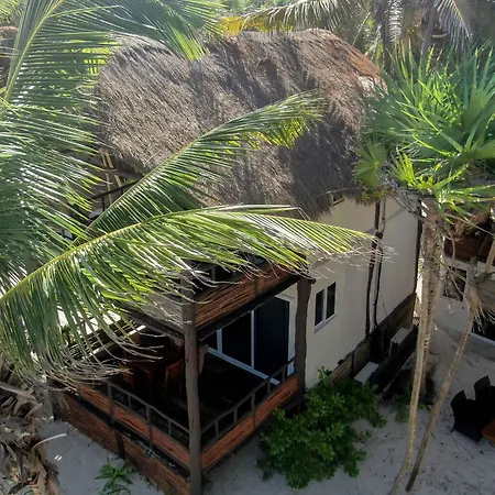 Bt Live Tulum Located At The Party Zone-2