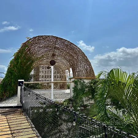 Pachamaya Holistic Wellness Boutique Hotel & Spa - Adults Only-2