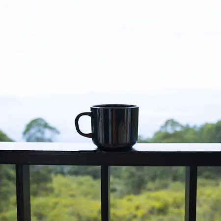 Dolphin Nose Retreat-2
