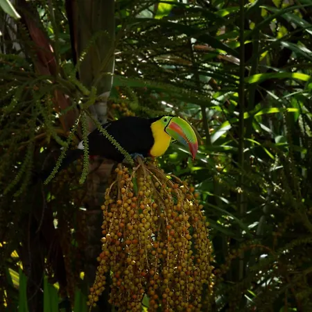 Albrook Inn-3