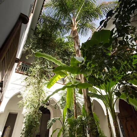 Riad Les Bougainvilliers-3
