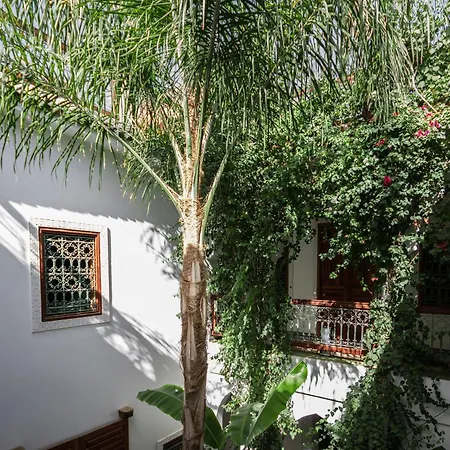Riad Les Bougainvilliers-3