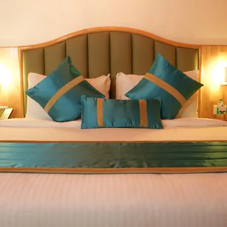 Bravia Hotel Manali Inn-3
