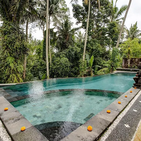 Dupa Ubud-2