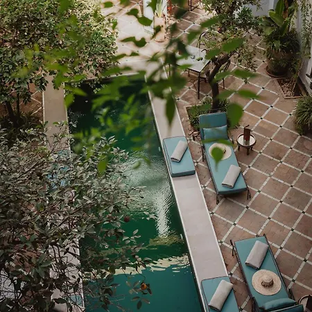 Riad Le Rihani-2