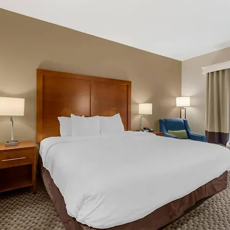 Comfort Inn & Suites Florence Center Area-2