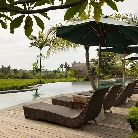 Beehouse Dijiwa Ubud-2
