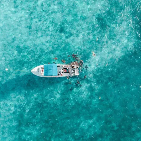 Reef Haven Belize-2