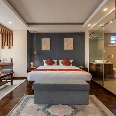 Apex Business Hotel - Tribhuvan International Airport, Kathmandu-3
