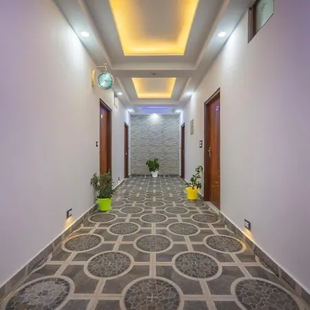 Whispering Woods Homestay Kasauli !!-3
