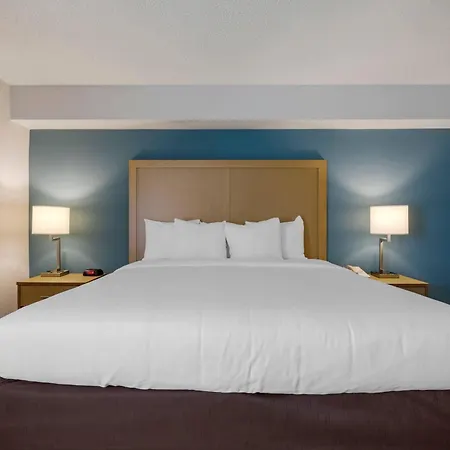 Comfort Inn & Suites Alexandria West-2