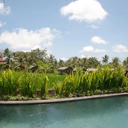 Mesari Hotel Ubud-3