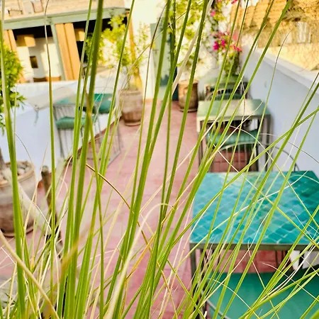 Riad Jardin Des Sens & Spa-2