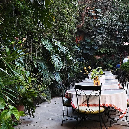 Hotel Nirvana Garden-3