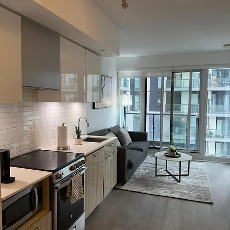 Luxury Condo Downtown Toronto-3