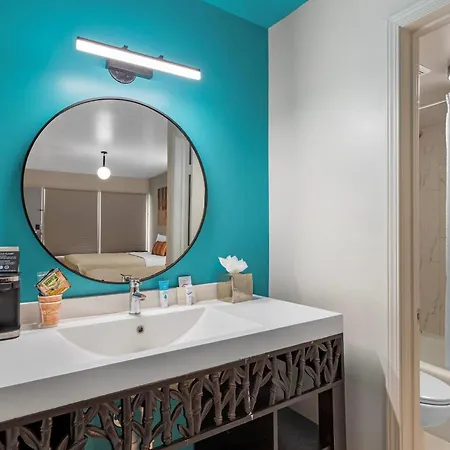Heights House Hotel - Houston Heights Downtown, An Ascend Collection Hotel-2