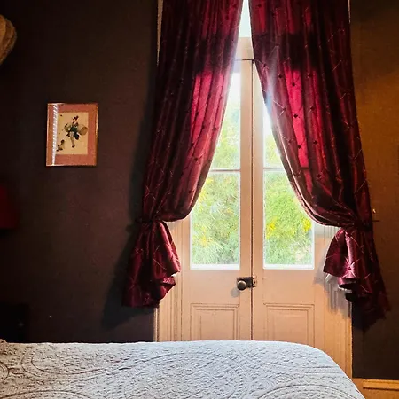 The Dragonfly Treme-Historic Guesthouse-Near French Quarter-2