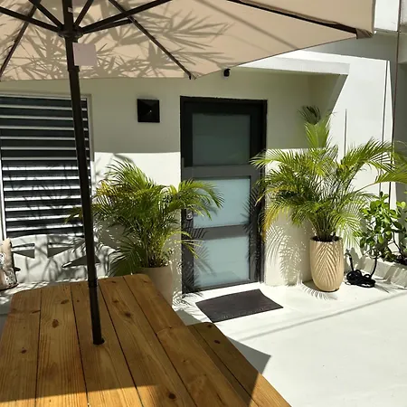 Tropical Studio-2