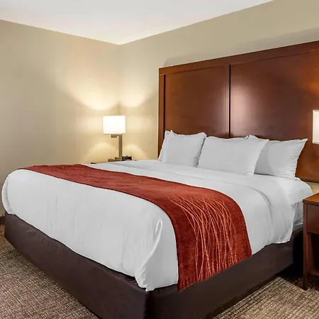 Comfort Inn & Suites Little Rock Airport-3