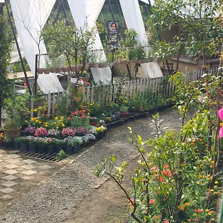 Cottages At Village Bhimtal-Naukuchiatal-2