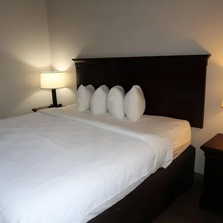 Country Inn & Suites By Radisson, Tallahassee-University Area, Fl-3