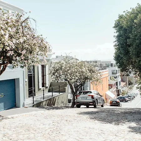 Cape Finest Guest House Located In De Waterkant-3