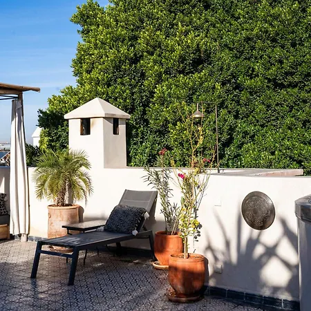 Riad Al Scarabi-2