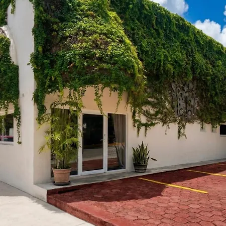 Pachamaya Holistic Wellness Boutique Hotel & Spa - Adults Only-3