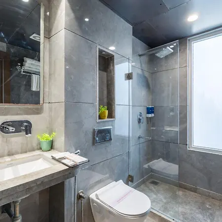 Hotel Sapphire House - 3 Mins Walk From Metro And 5 Mins From New Delhi Railway Station-2