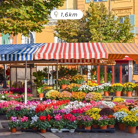Ikonik Marengo-3