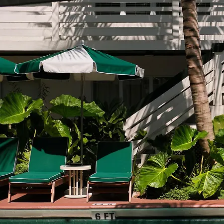 Perroquet Hotel-3