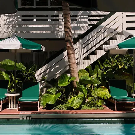 Perroquet Hotel-2