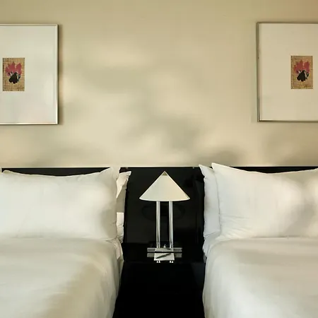 Perroquet Hotel-3