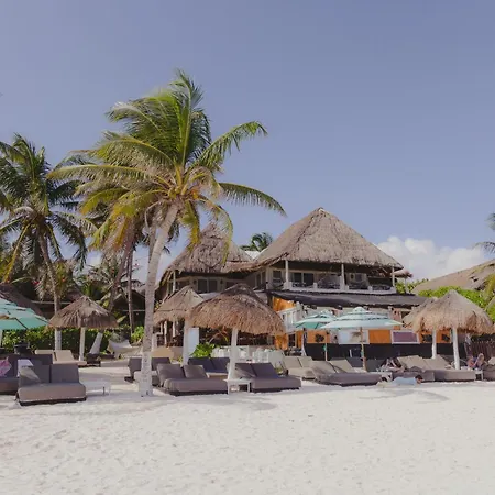 Villa Las Estrellas Tulum - Located At The Party Zone-3