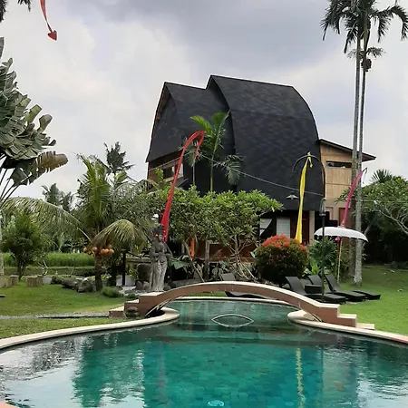 Ubud Hidden Villa Yone Village-3