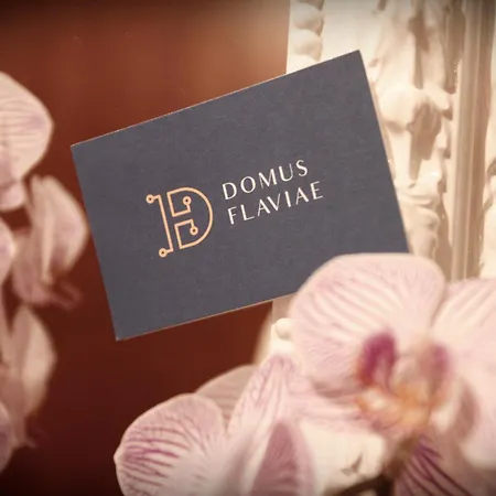 Domus Flaviae-3