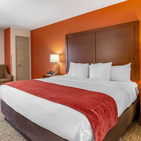 Comfort Inn Greensboro - Kernersville-2