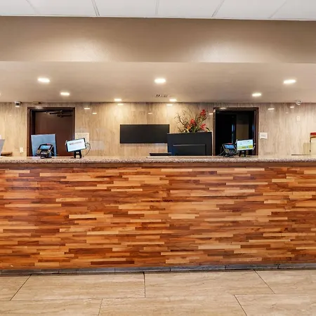 Beachfront Palms Resort Galveston, An Ascend Collection Hotel-3