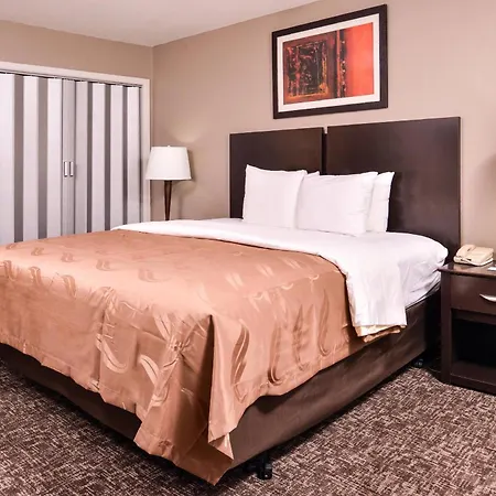 Quality Inn & Suites Beaumont-3